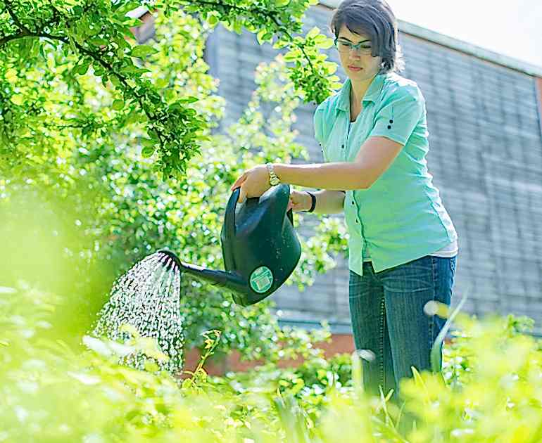 A volunteer watering the garden in one of our projects.