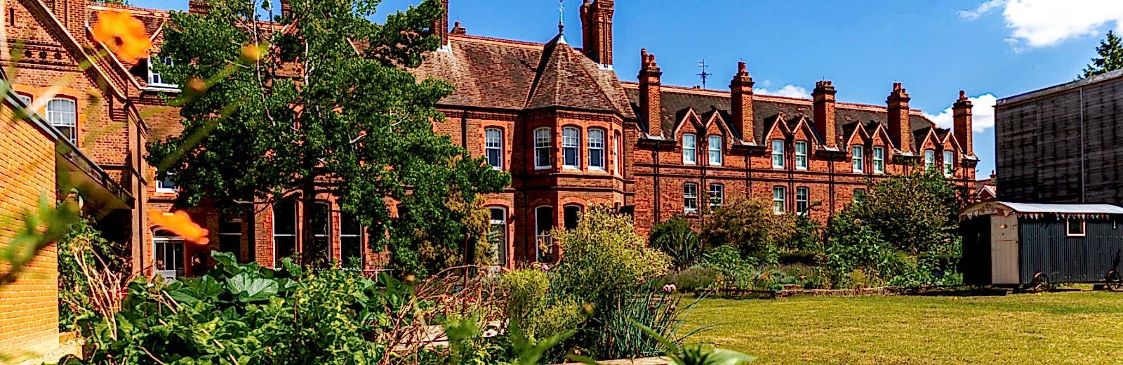 Looking across raised beds and lawn in the MERL garden to the back of the MERL building