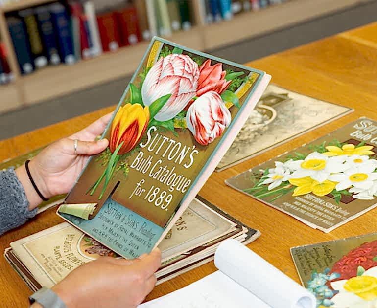A researcher views Sutton's materials from our archive.