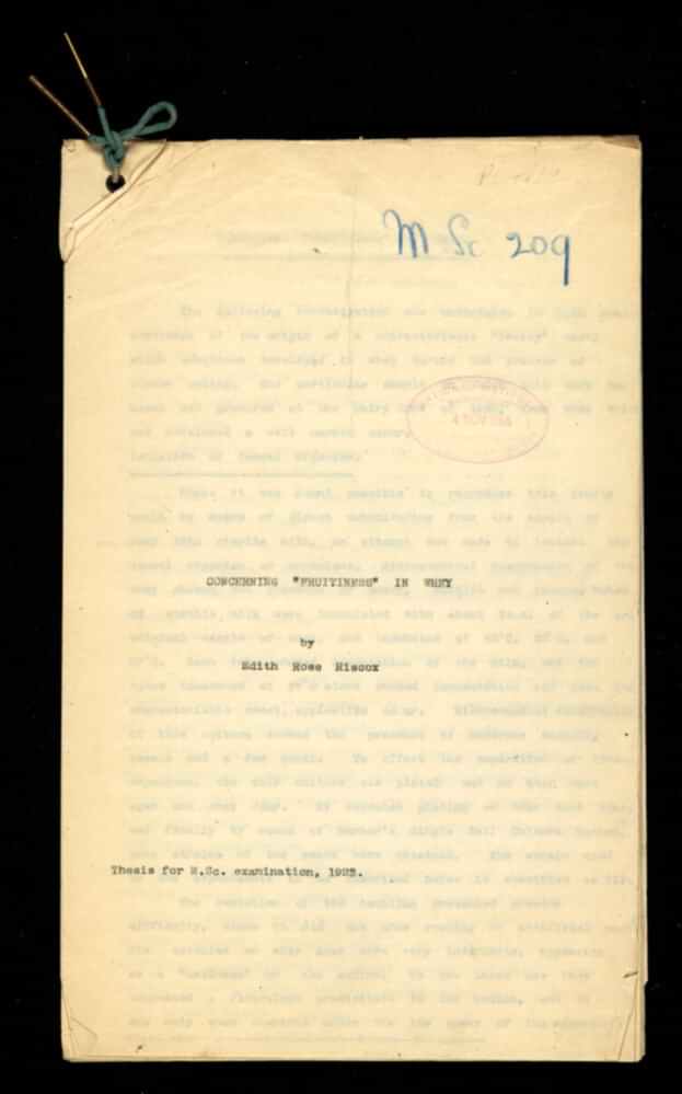 close up of a typed document